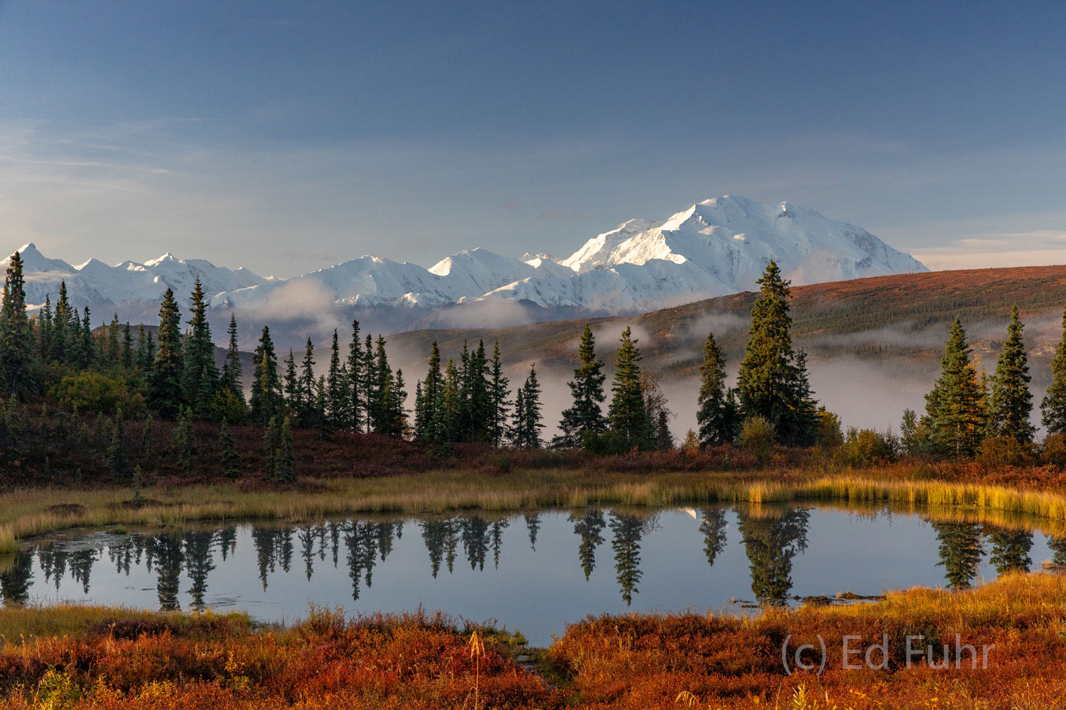 Surrounded by berry bushes that have turned red with autumn's arrival, Nugget Pond is the perfect place to watch Denali in the...