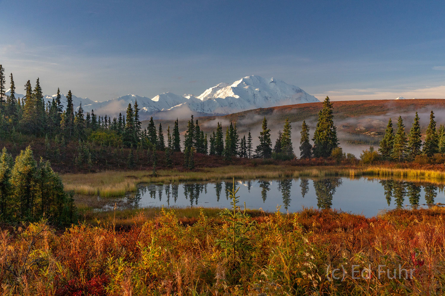 From the steps of the lodge at Camp Denali lies exquisite Nugget Pond and one of the best views of Denali