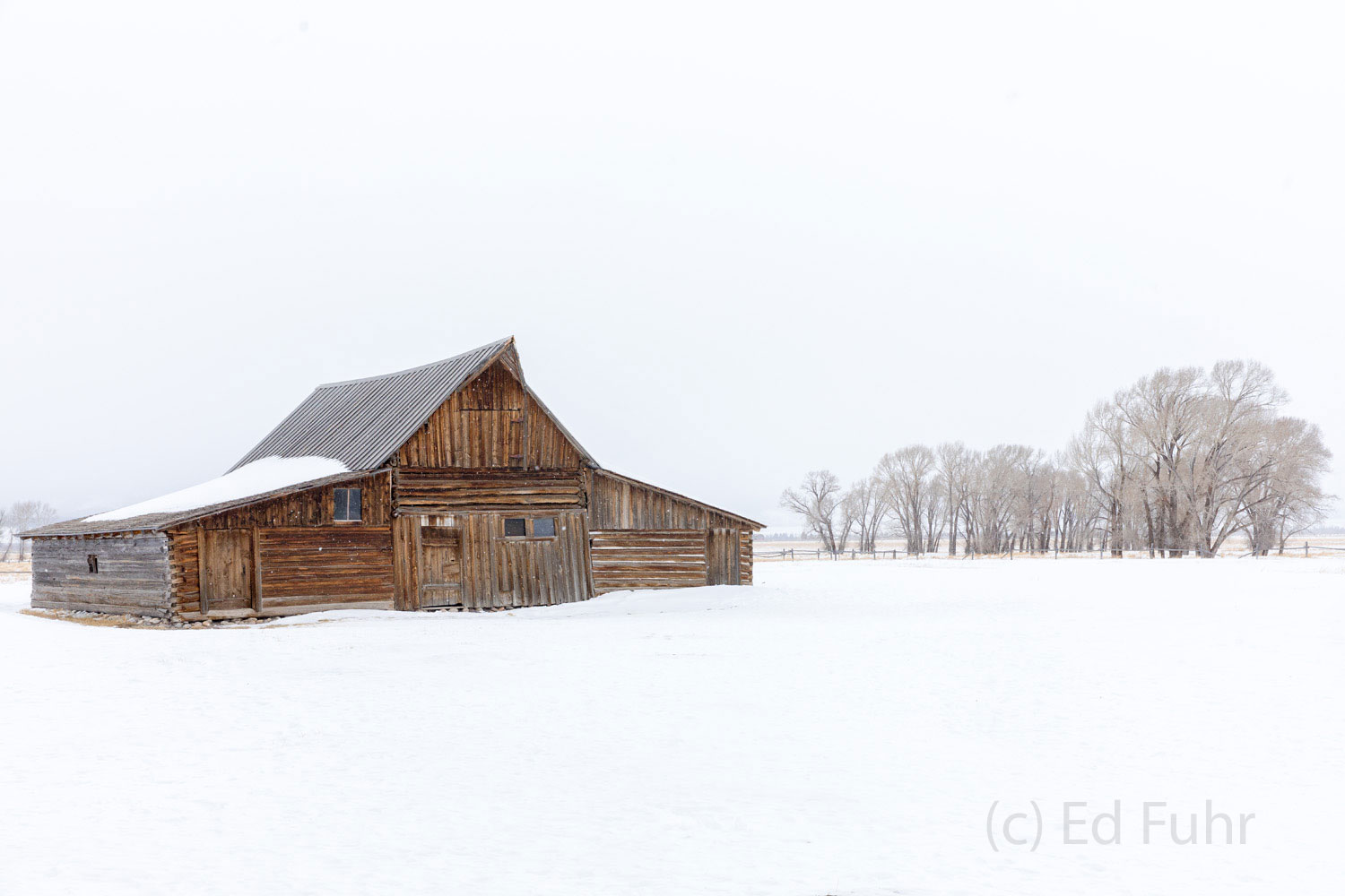 Worth the Effort To reach the Moulton Barn in mid winter can often require a difficult hike or ski across hip deep soft snow. But the effort...