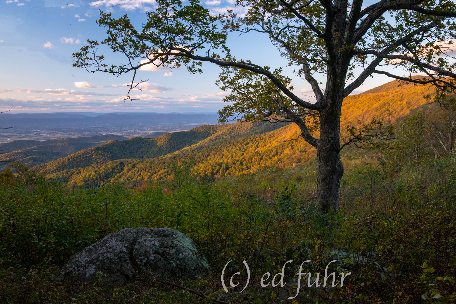 Fisher Gap in Autumn There are few overlooks I enjoy more than Fisher Gap which offers such different perspectives every season.
