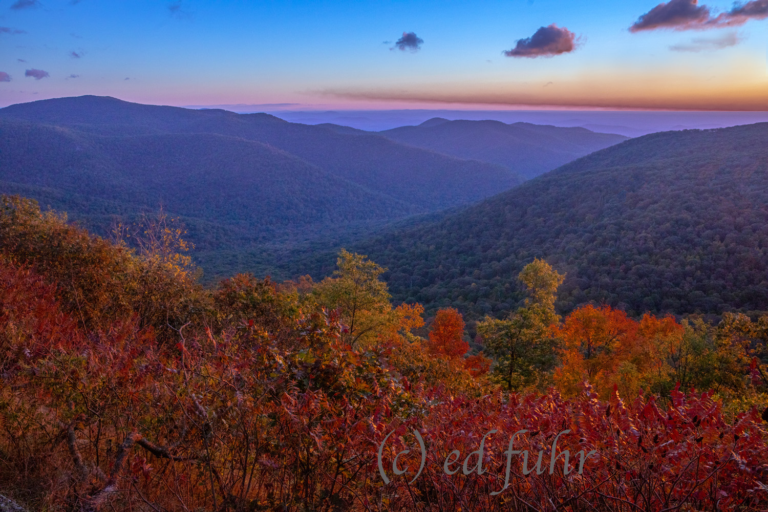Where is the Overlook? A few of the very best views in Shenandoah National Park are where there is no overlook, no vista. Here, one of those special...