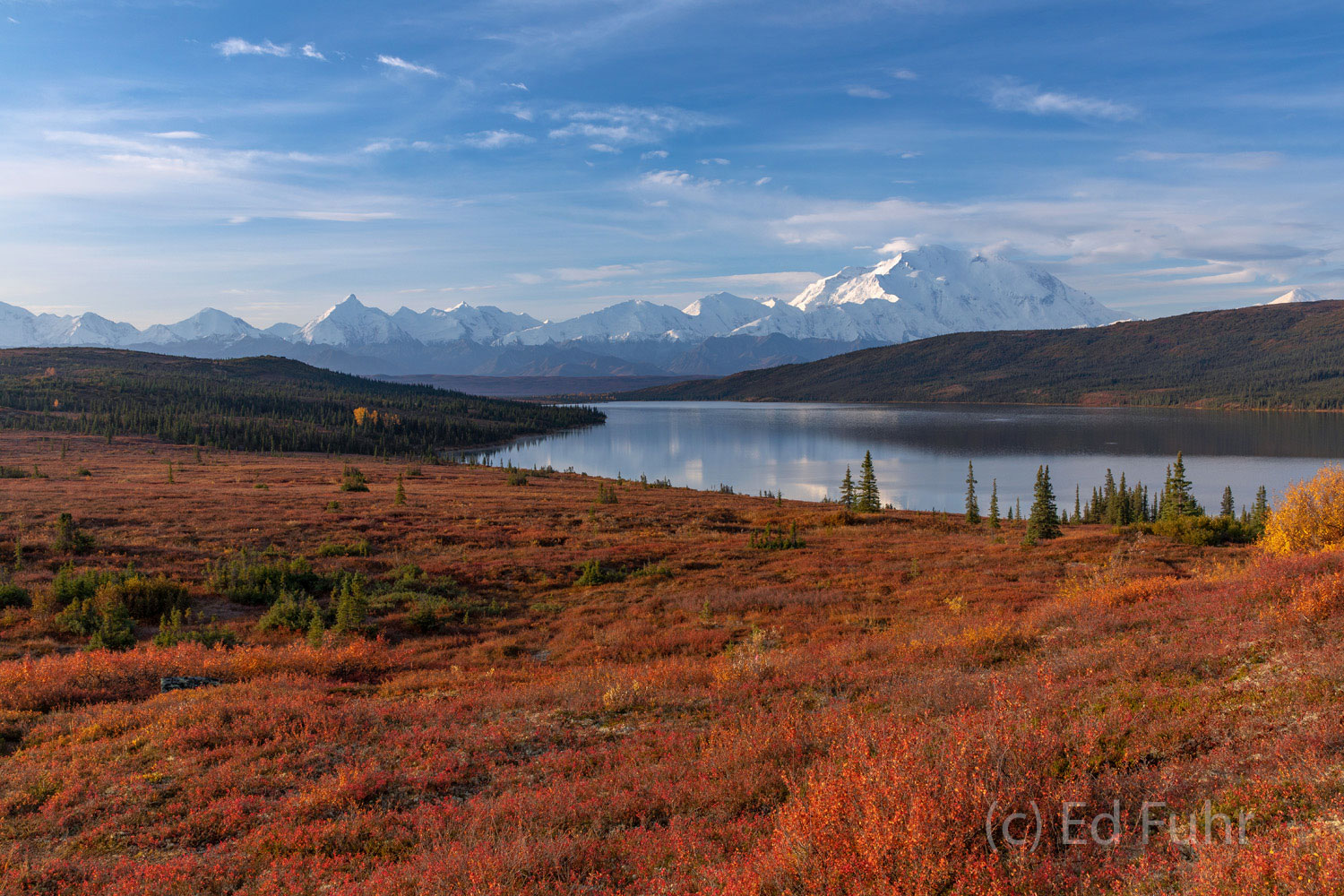 Miles of blueberry bushes carpet the shores of Wonder Lake as the Alaskan Range and Denali catch the morning sun.