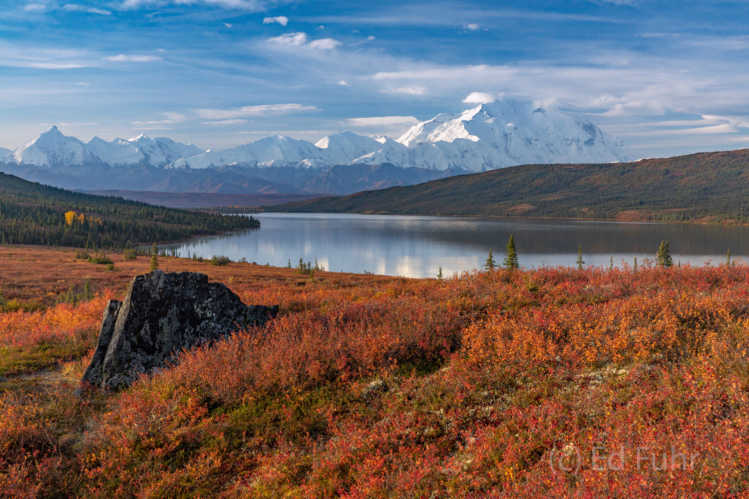 The Stone A large boulder is a reminder of the glacial forces that shaped the Denali landscape