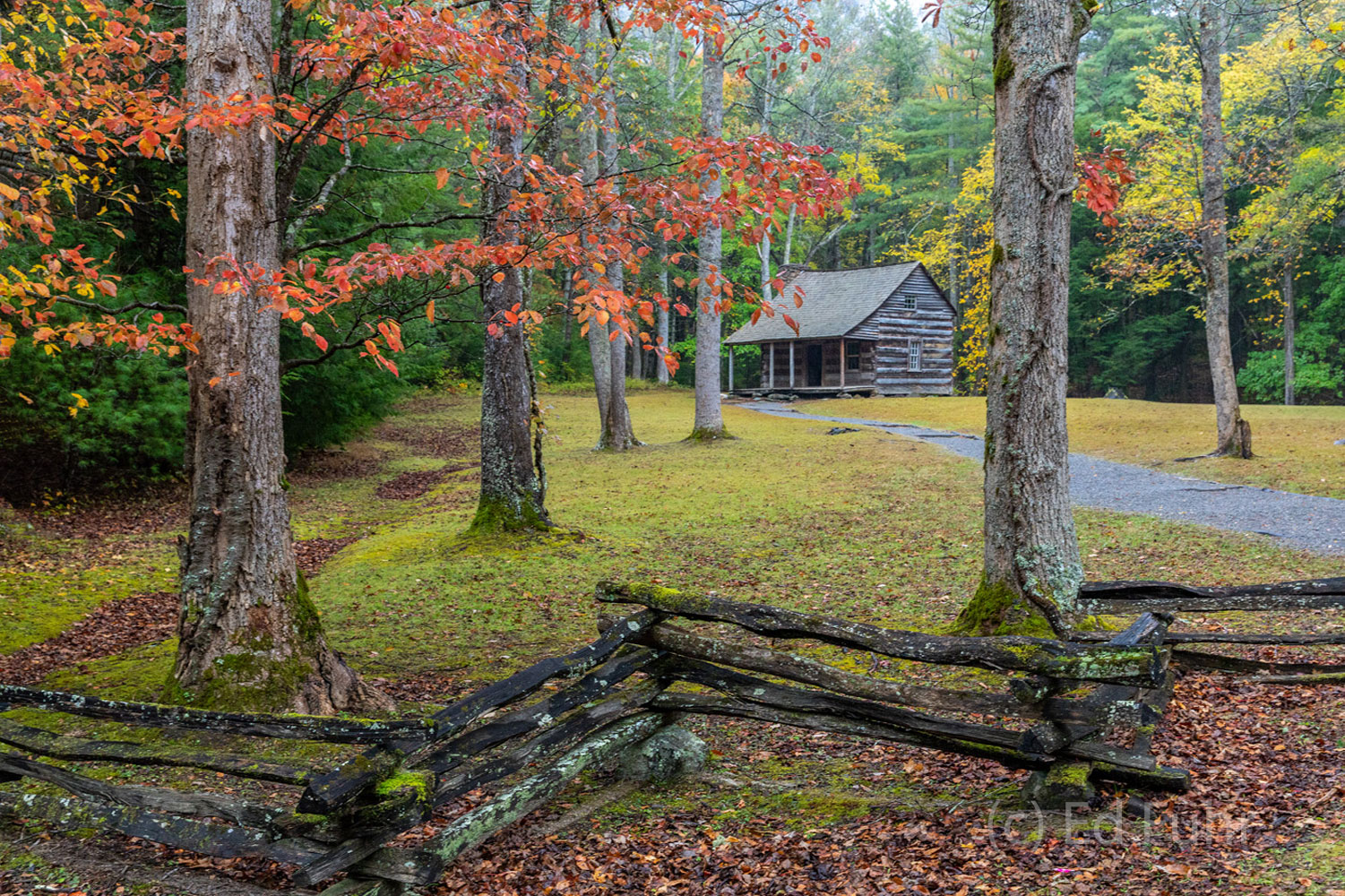 One of the most picturesque historic cabins in Cades Cove, Carter Shields is especially magnificent as its woodland setting puts...