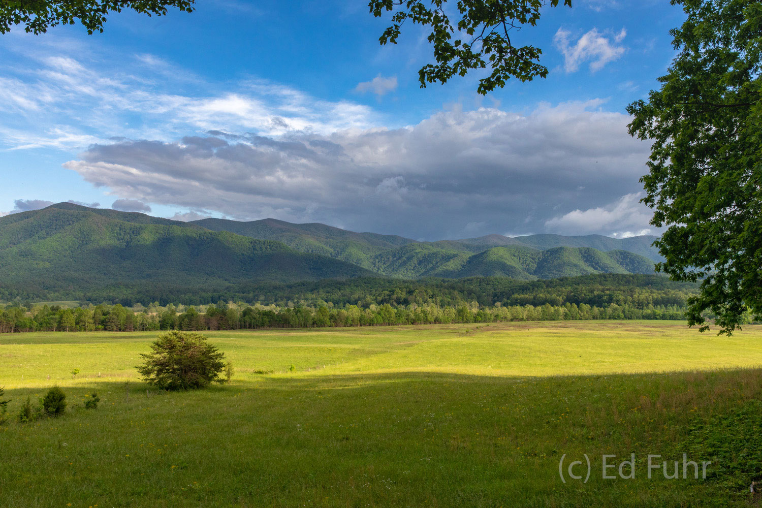 A panoramic view across the Cades Cove fields and meadow on a spring morning.