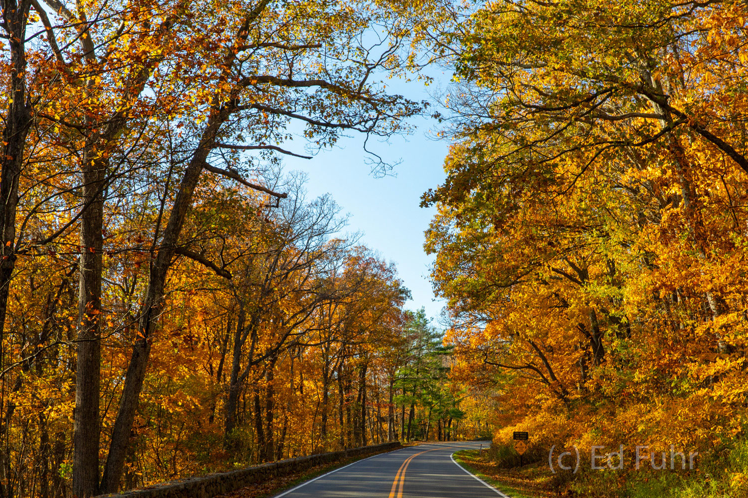 Autumn Drive An Autumn Drive Along Skyline Drive, Shenandoah National Park