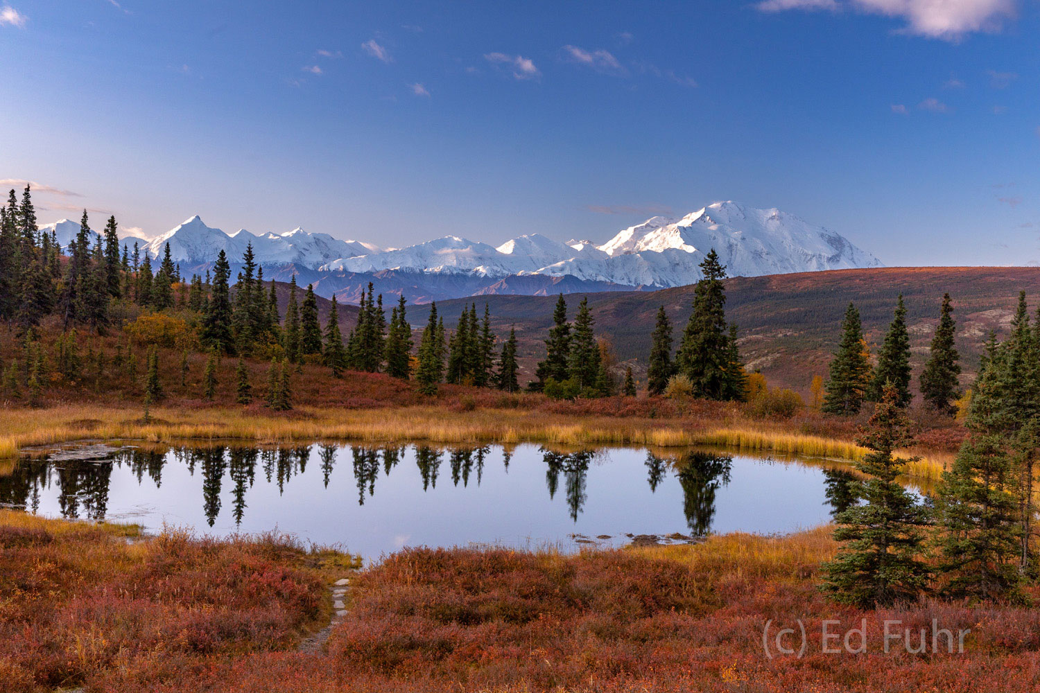 The Alaskan Range and Mount Denali beckon in the distance beyond Nugget Pond