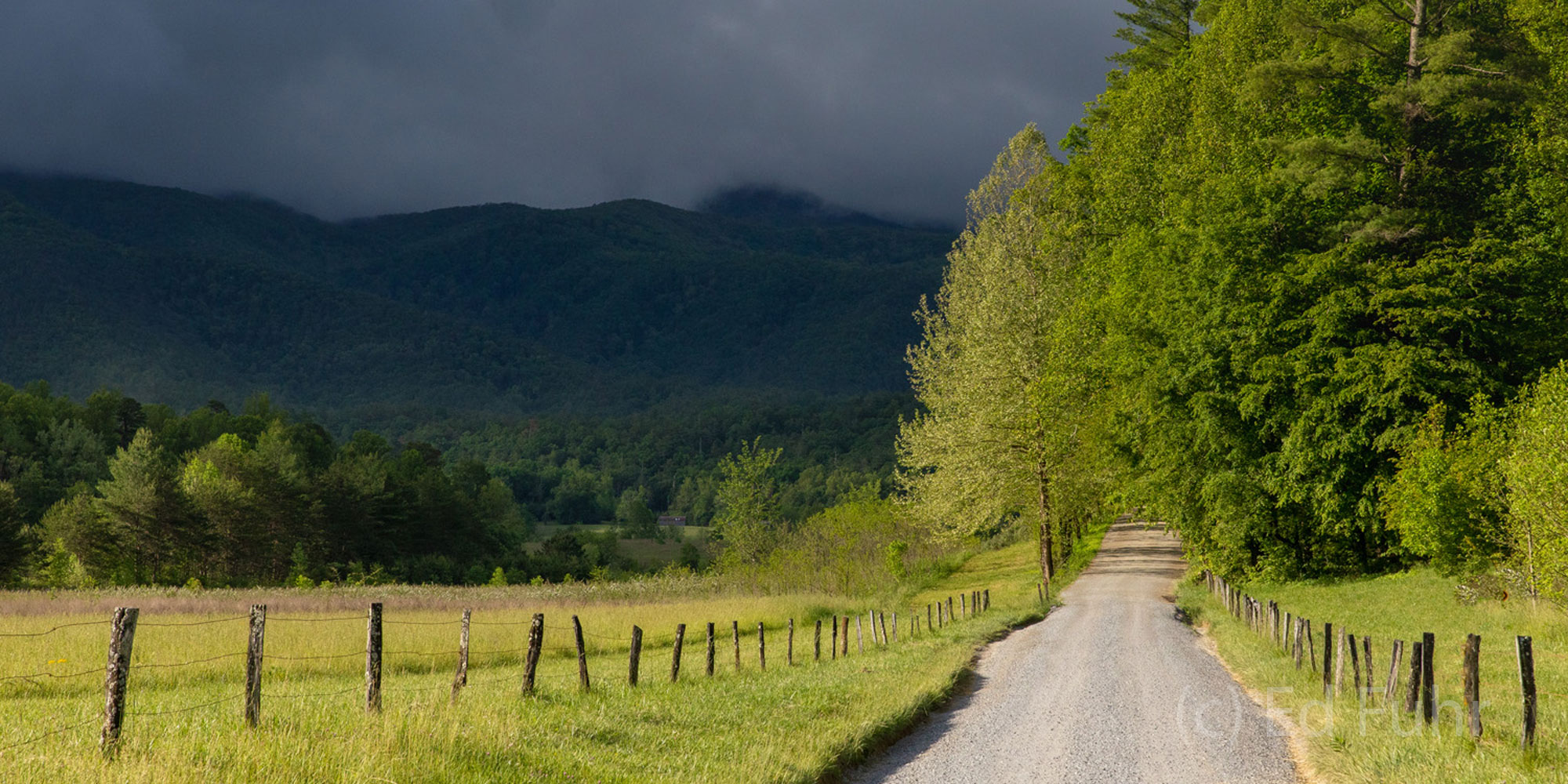 Hyatt Lane and Approaching Storm.  Hyatt Lane bisects Cades Cove and provides access to some of the best wildlife habitat in...