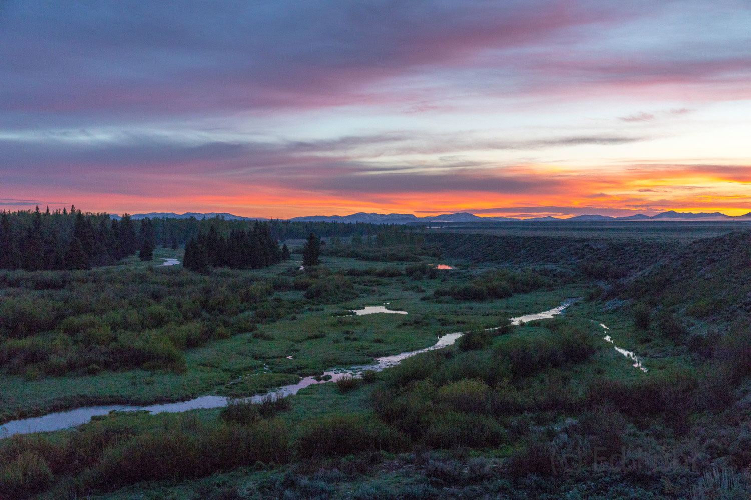 Sunrise at Blacktail Pond