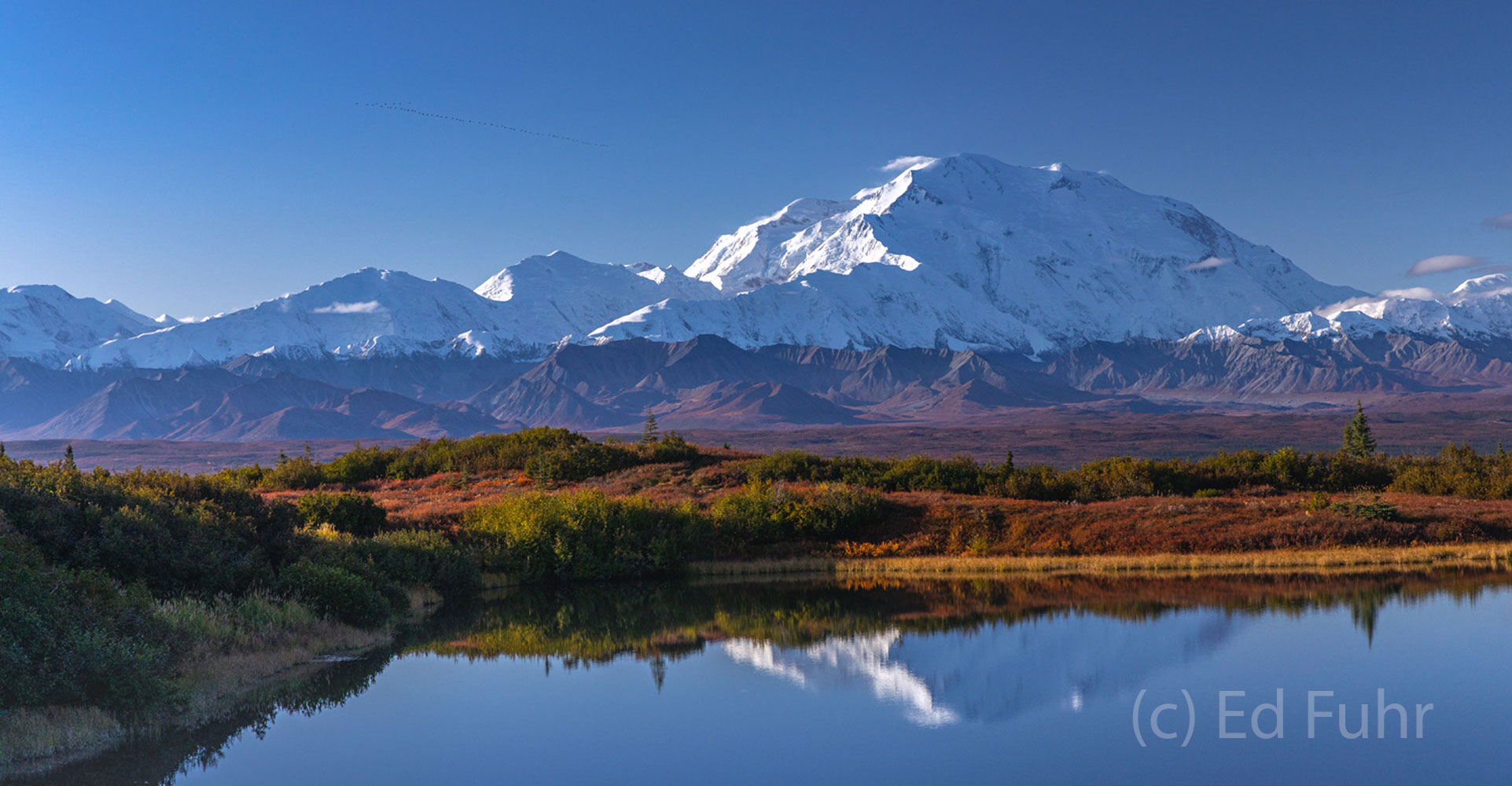 Carved by glaciers thousands of years ago, kettle ponds like Reflection Pond dot the Denali landscape