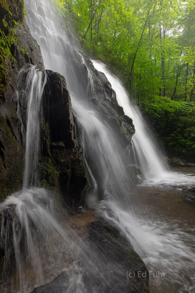 Spring's rains have swelled Spruce Flat waterfalls and the final portions of the trail have been muddy and treacherous.  But...