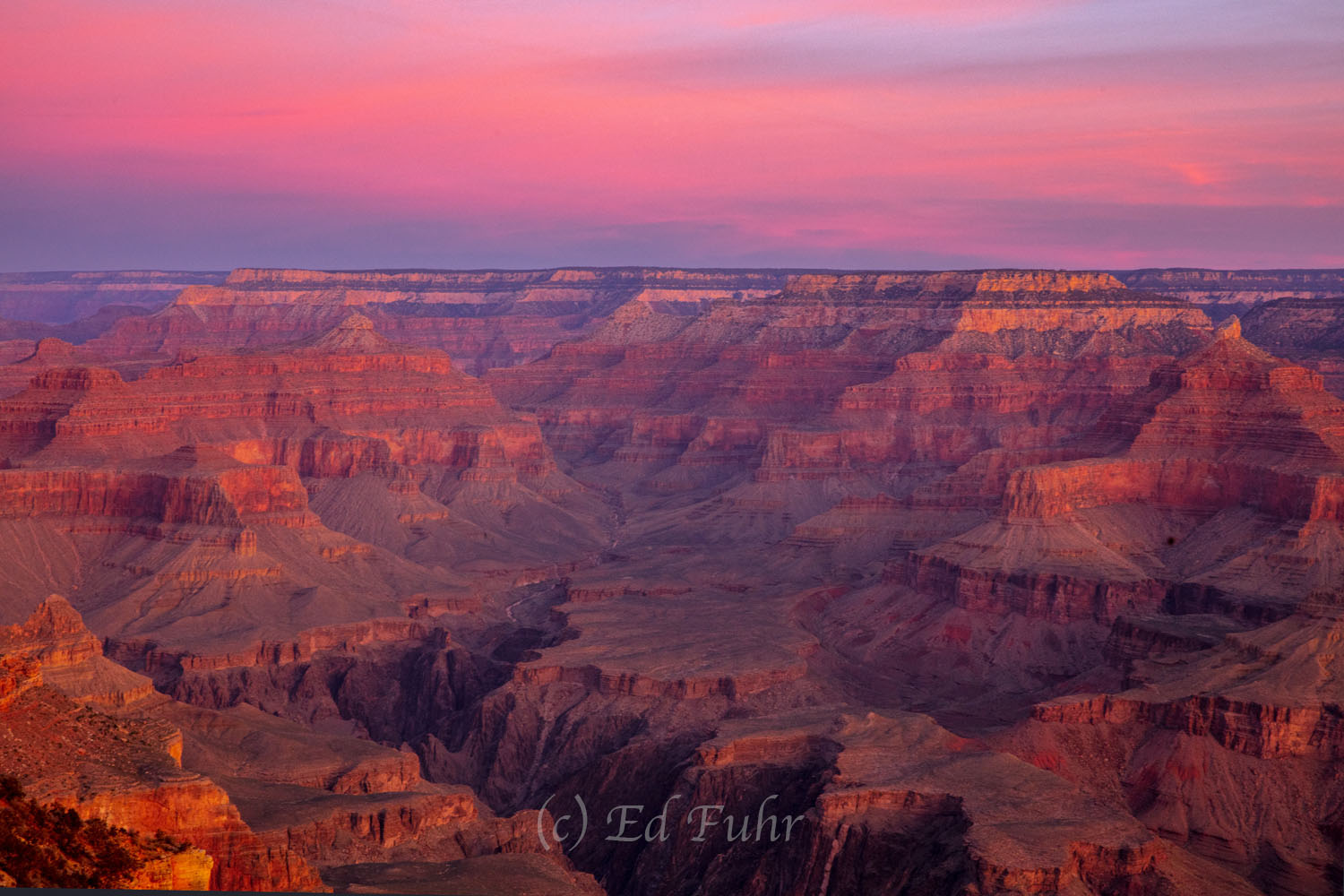 As the sun sets, the Grand Canyon turns an amazing array of yellows, pinks, oranges and reds in what is truly one of the greatest...