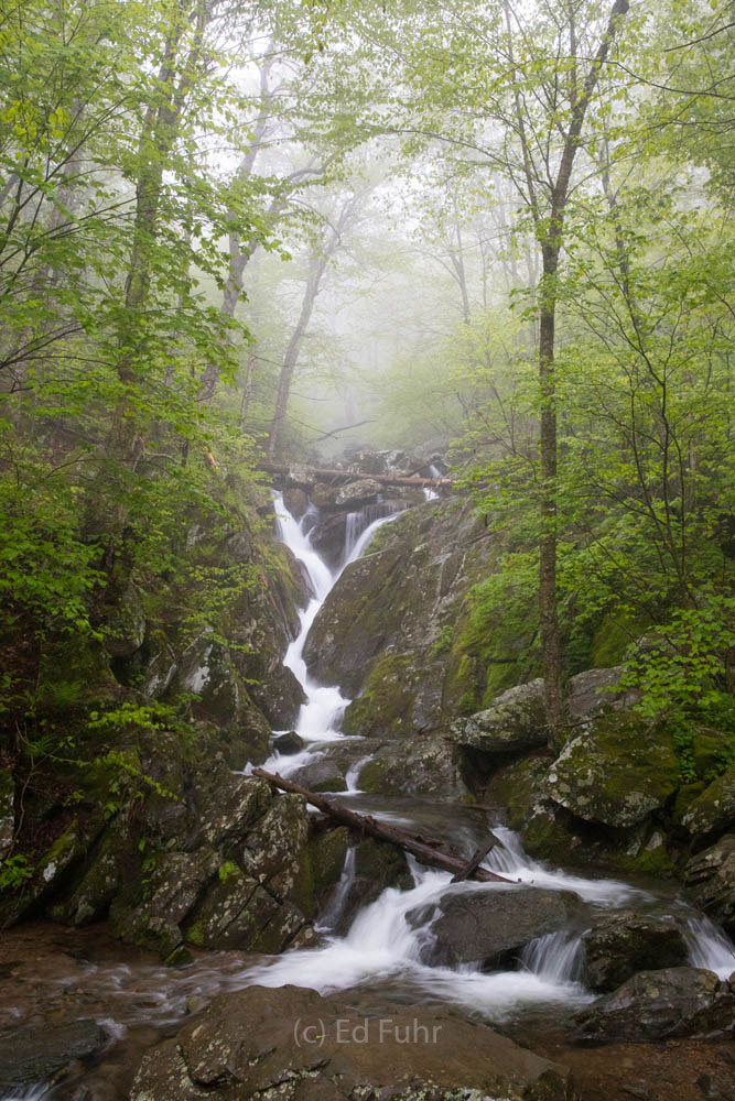 At twilight, amid a steady rain, there is a sense that there is not another soul in the world. The week's rains course down this...