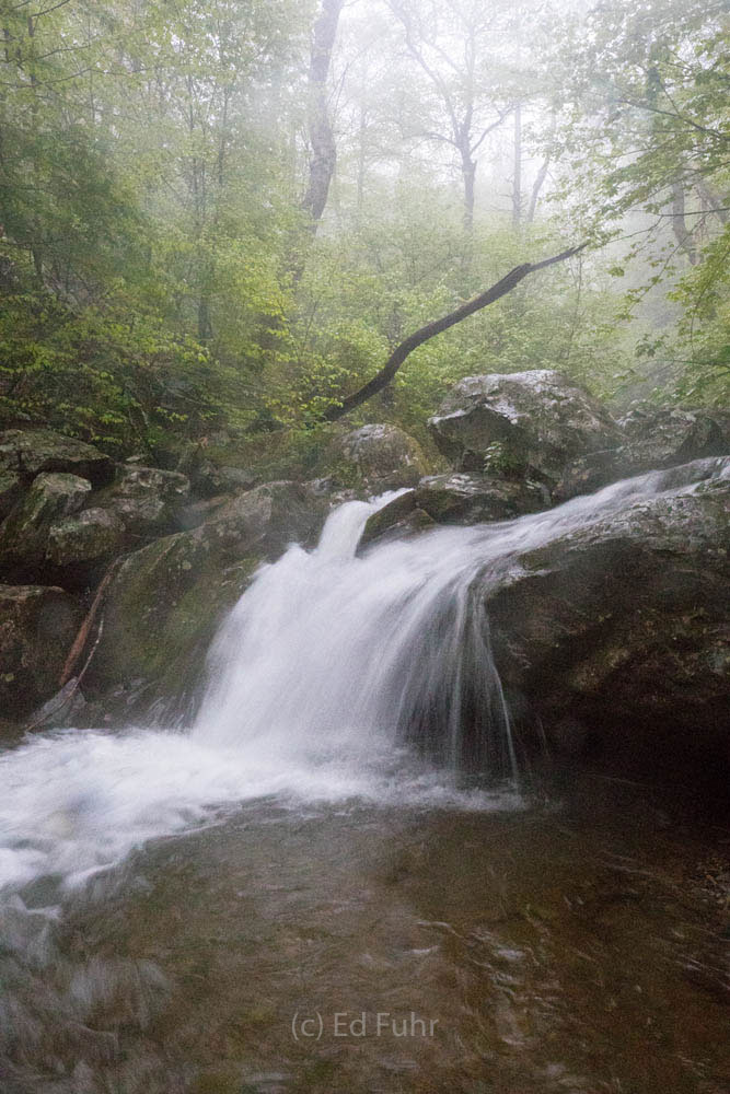 Spring Cascade on the Hogcamp One of the most beautiful waterfalls in the Park is this small fall below Dark Hollow Falls on the Hogcamp Branch that drains...