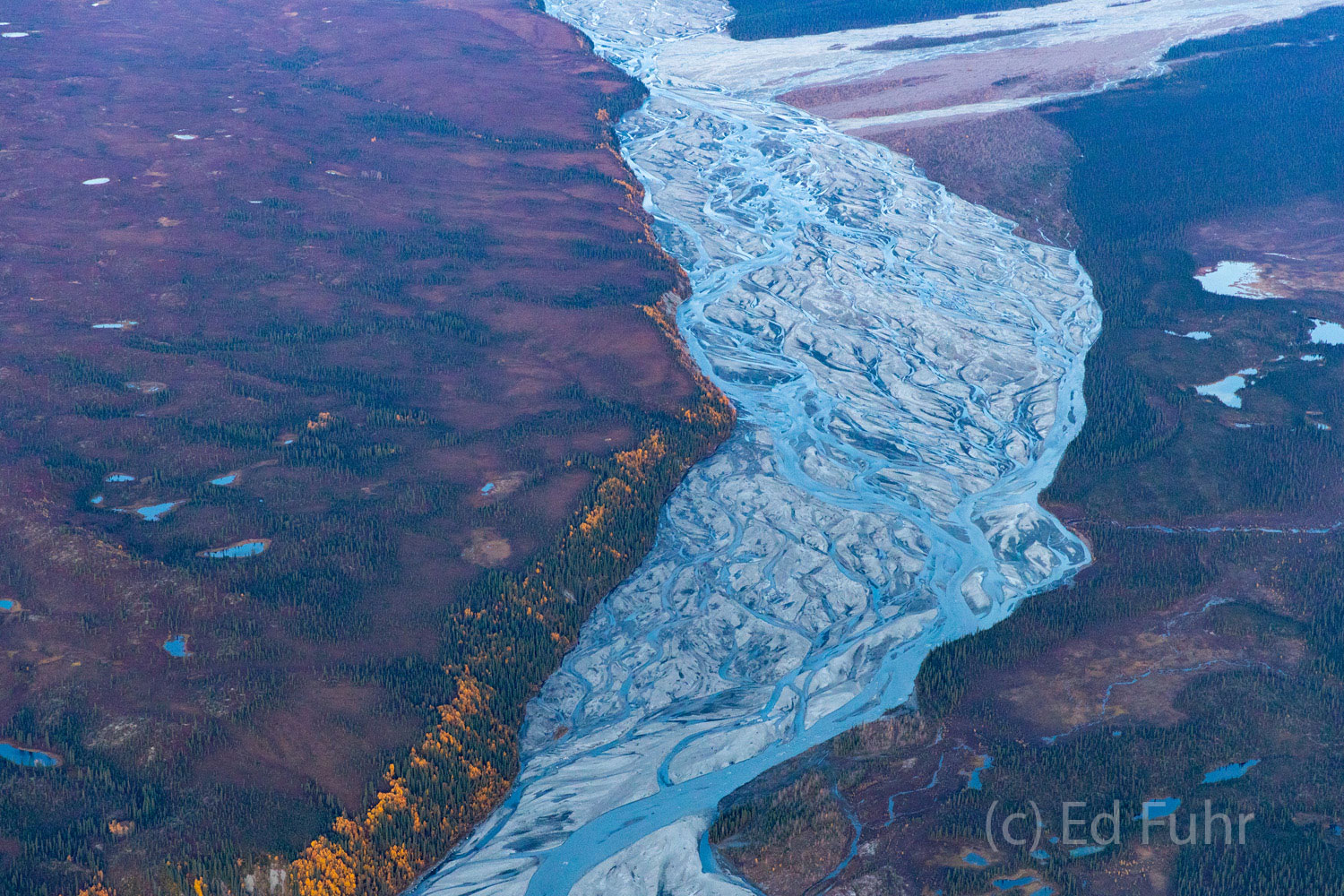 Denali's waters reflect the blue skies above, with stands of aspen along the shores.