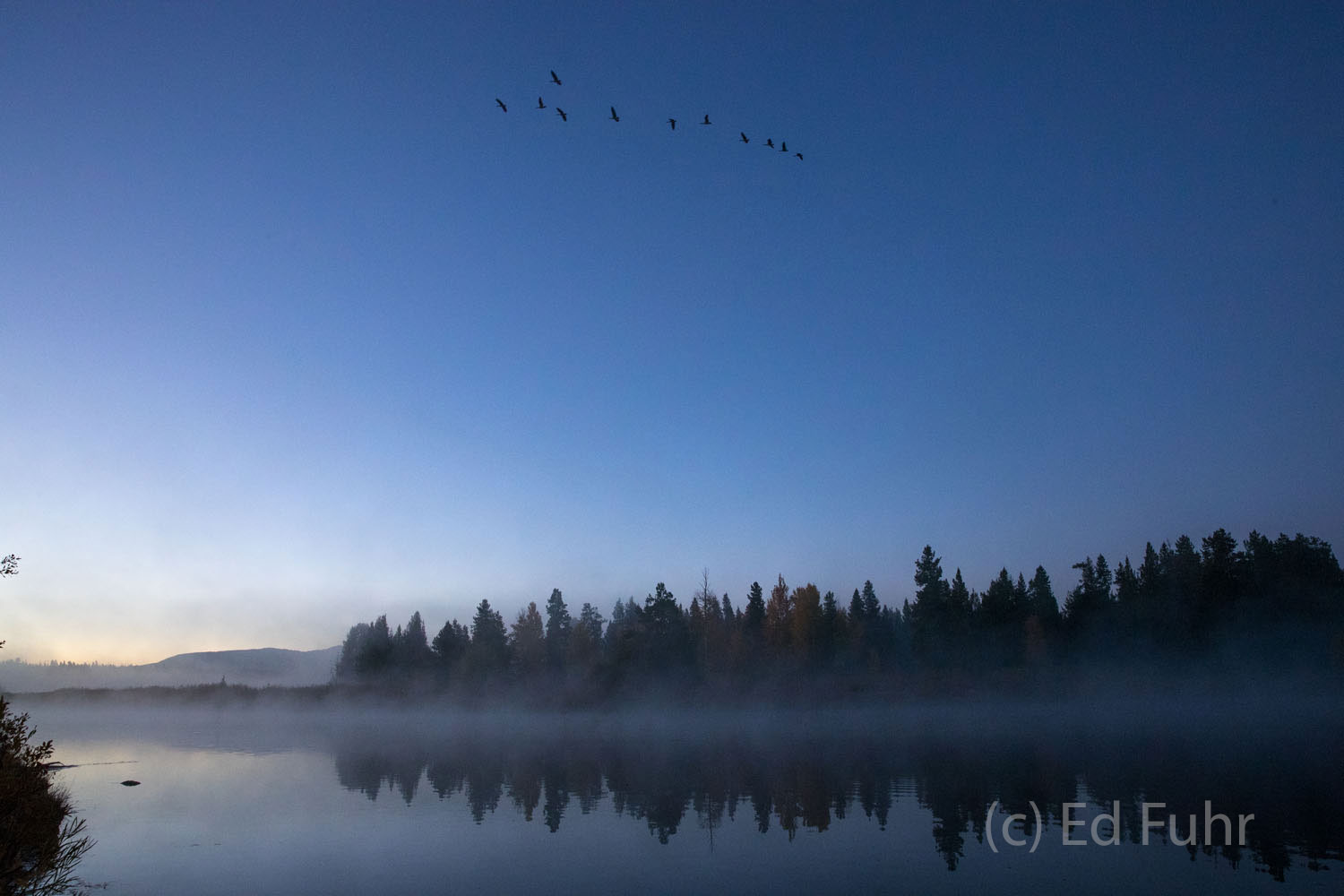 Dawn prepares to break to the east at Oxbow Bend.