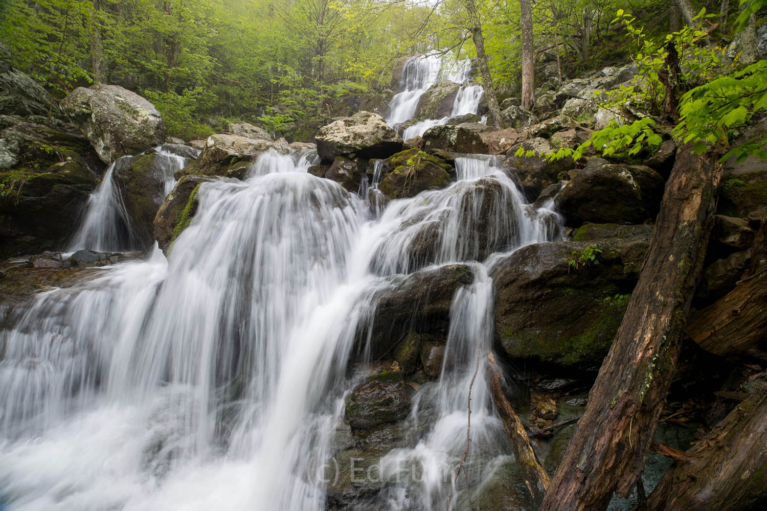 The upper part of Dark Hollow Falls, the most popular and most visited falls in Shenandoah National Park.