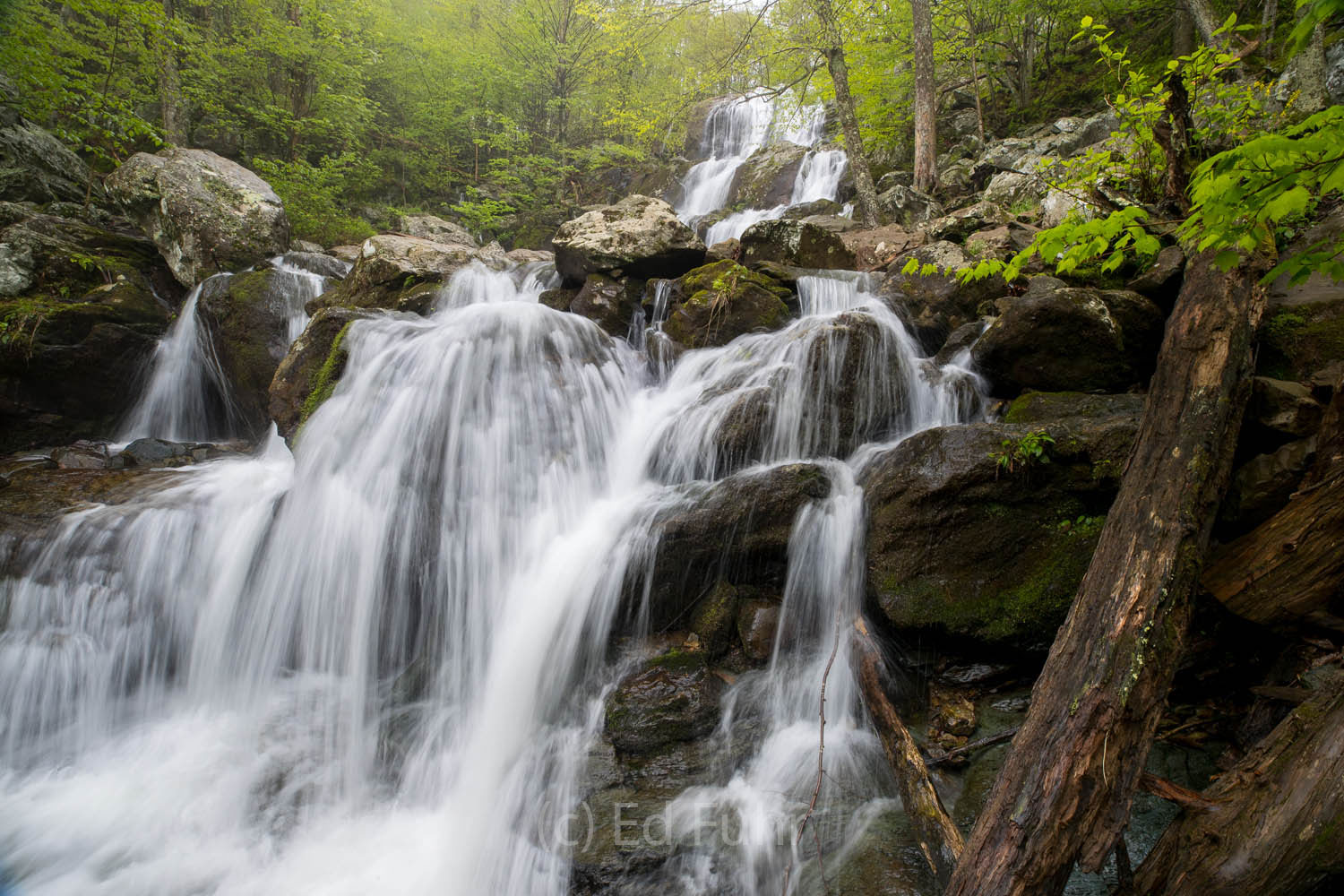 Dark Hollow Falls The upper part of Dark Hollow Falls, the most popular and most visited falls in Shenandoah National Park.