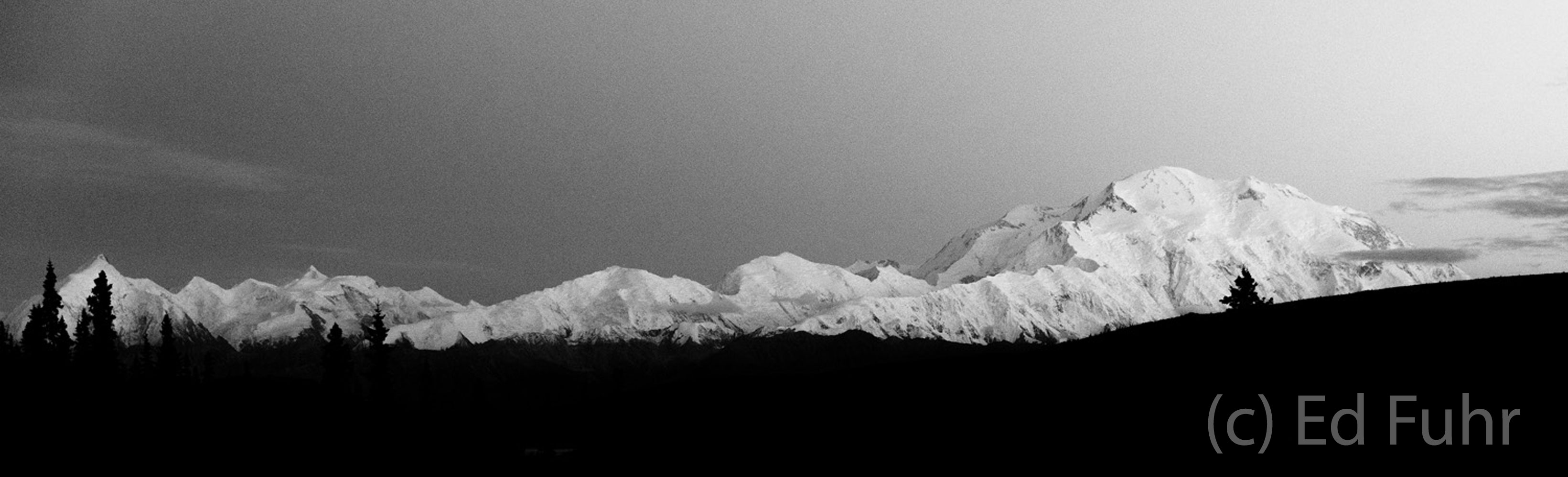 Denali panorama in black and white