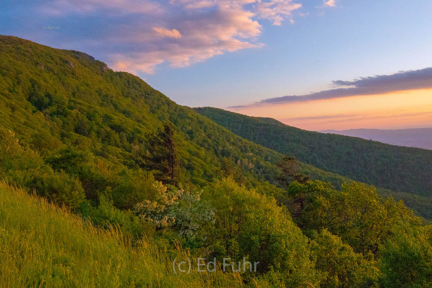 Stony Man Mountain Spring Twilight Over Little Stony Man Mountain.