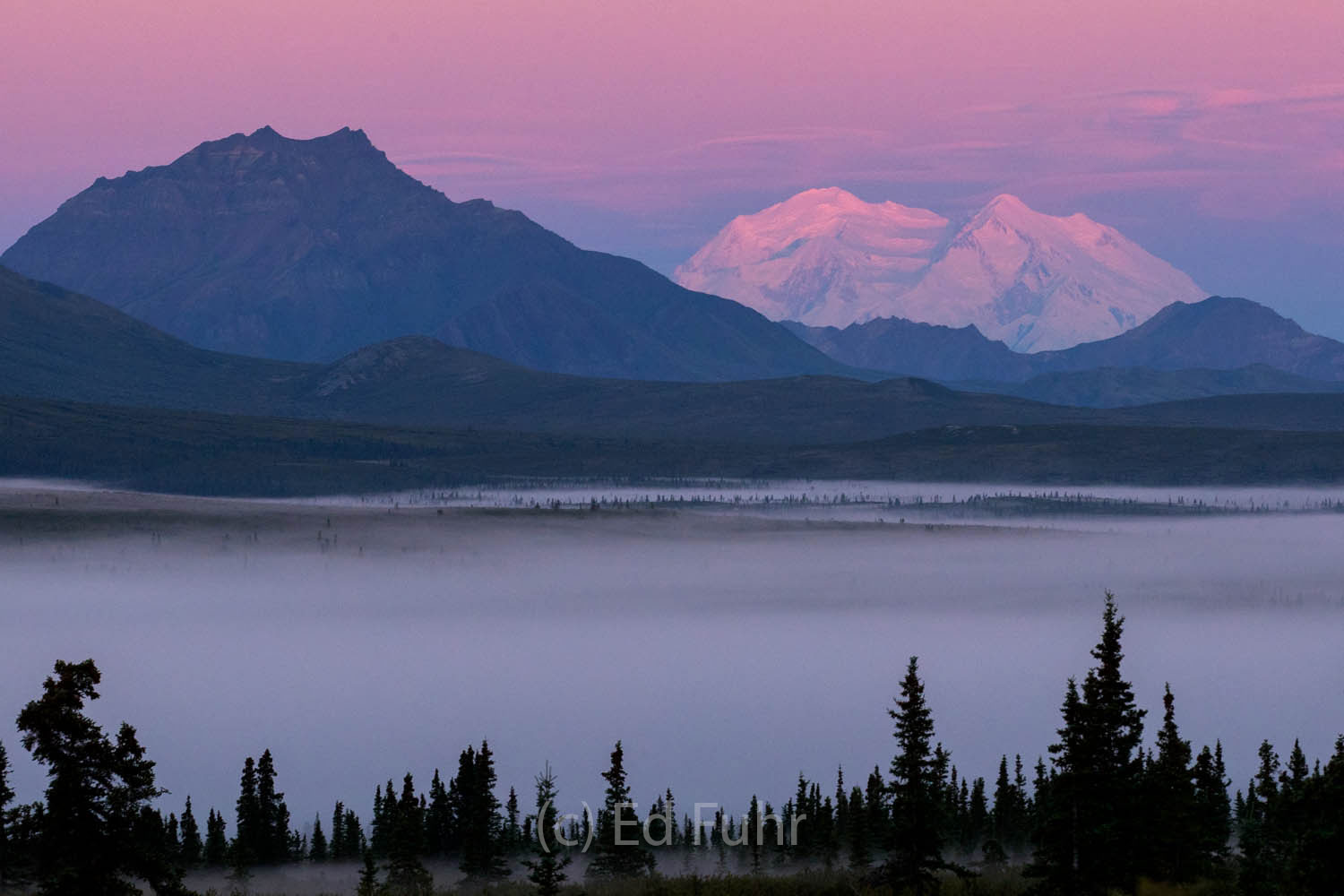 Mount Denali rises in the distance above the fog-filled valley.