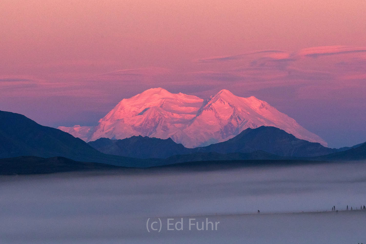 Dawn's early rays light up Mount Denali above a valley of fog.