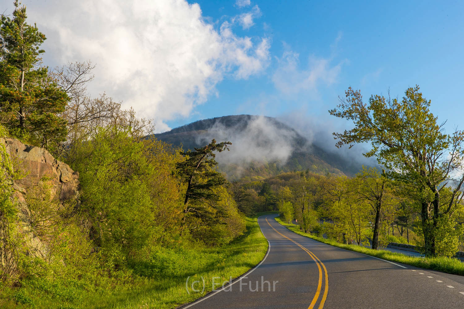 A stunning approach to Stony Man mountain from the north, Skyline Drive curves gracefully, flanked by colorful flowers in summer...