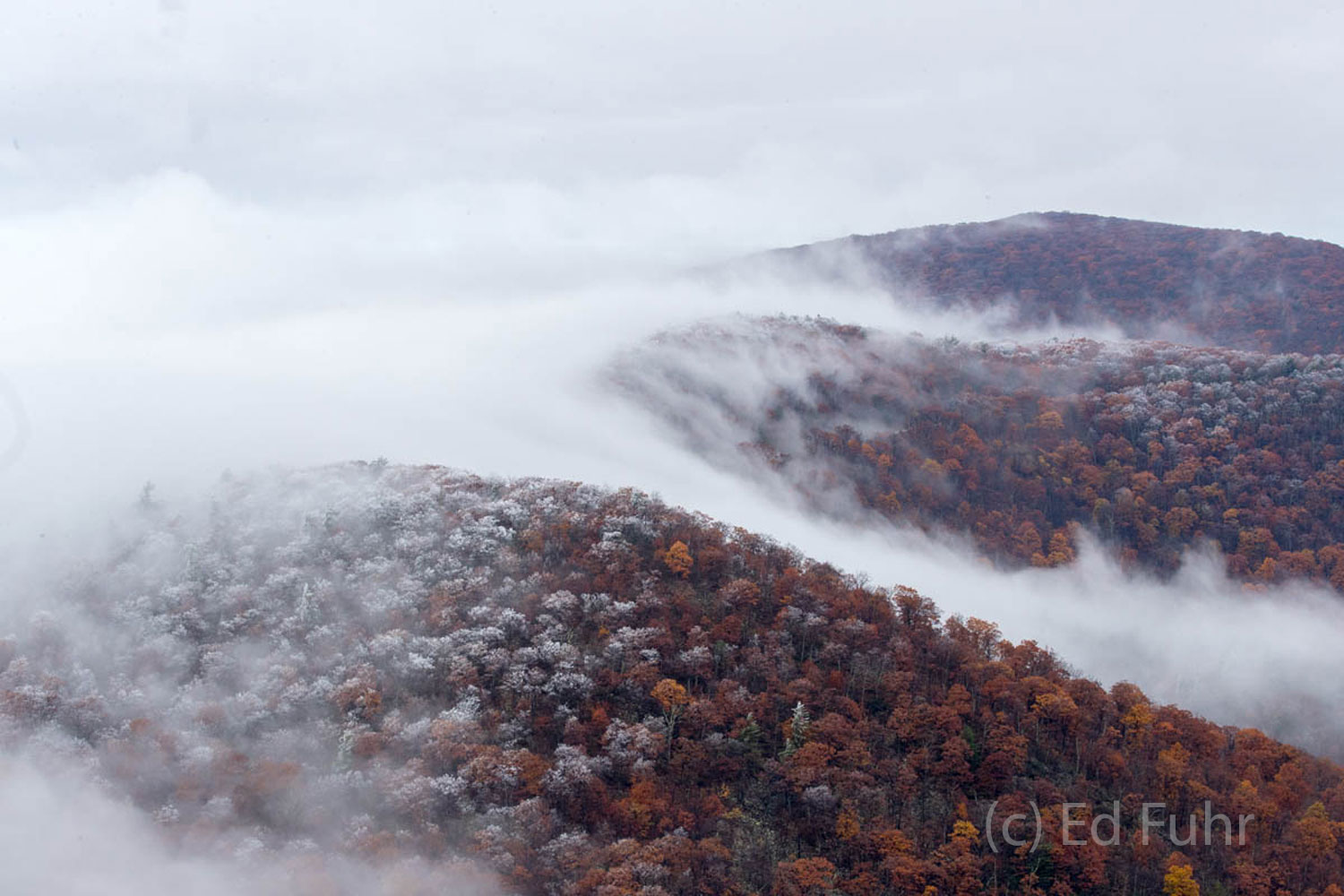 Layers of fog drift across the upper reaches of Stony Man Mountain in Shenandoah National Park.  Across the mountain, many of...