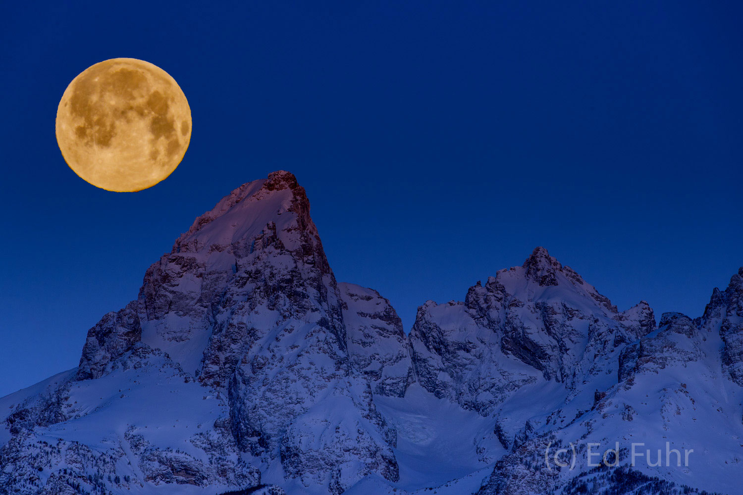 A winter storm has cleared and a super golden snow moon hovers just above the Teton range.