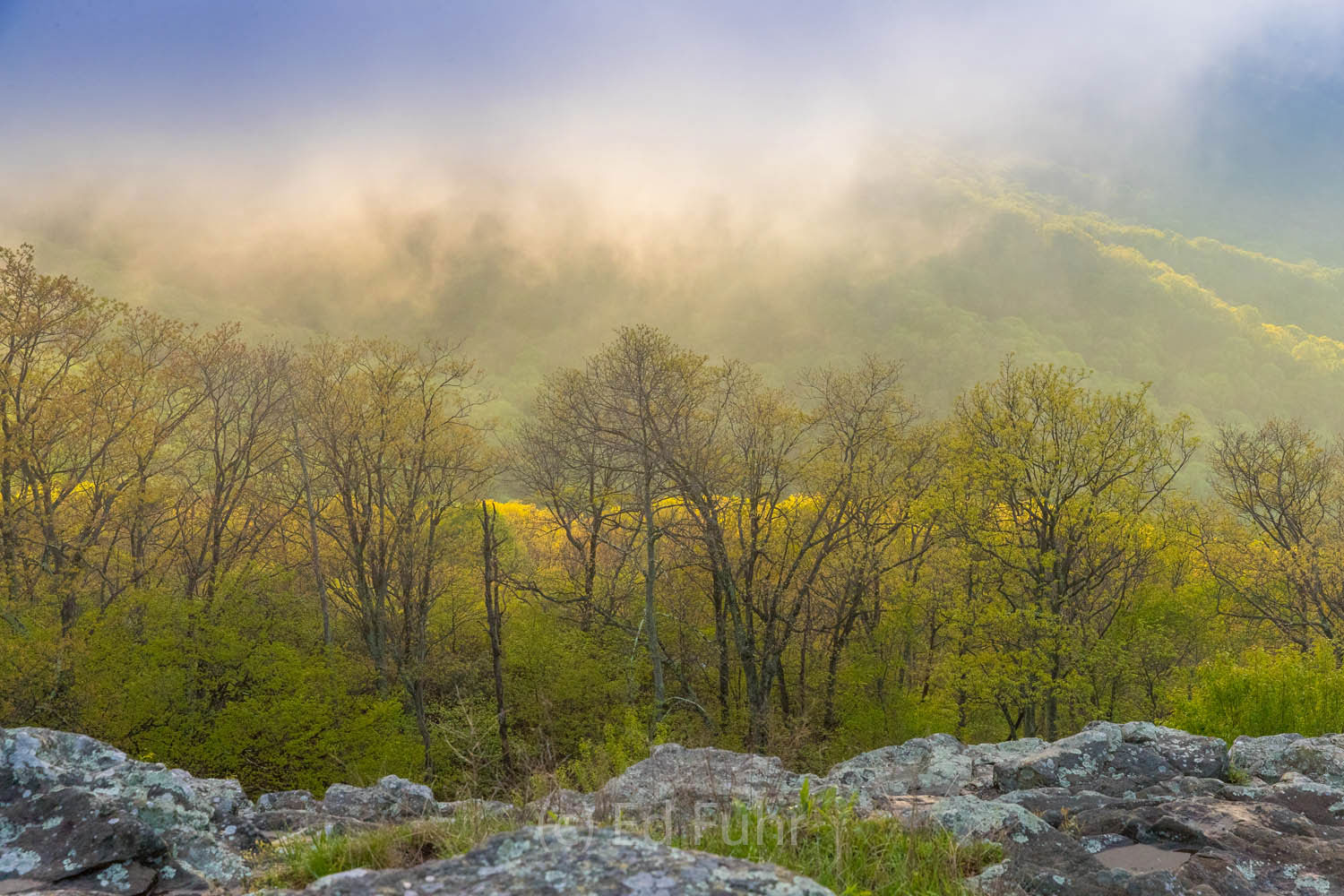 A spring fog and clouds give way over the cliffs on Shenandoah's west face.