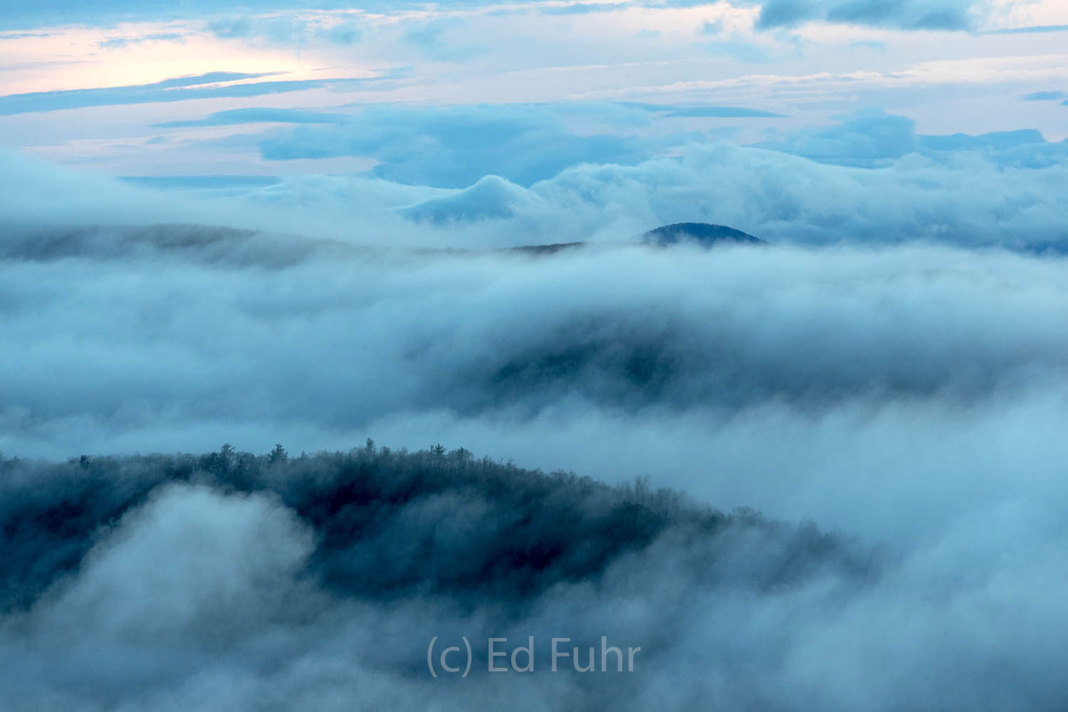 Islands in the Fog, Buck Hollow Only the highest peaks of the blue ridge peak above the flowing fog.
