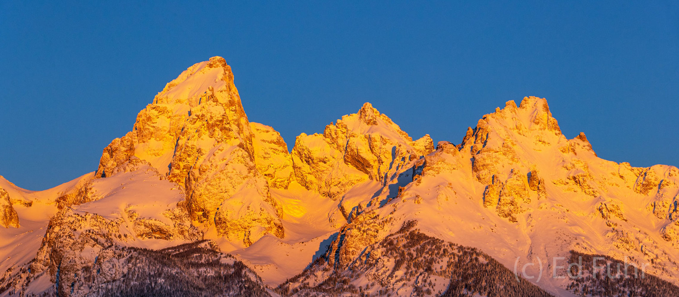 Sunrise has come and the Teton range glows in the early golden light of a new day.