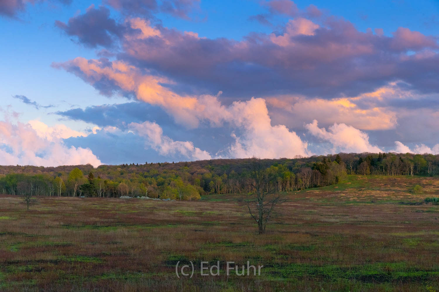 Springtime Sunrise at Big Meadows A new dawn breaks over Big Meadows.
