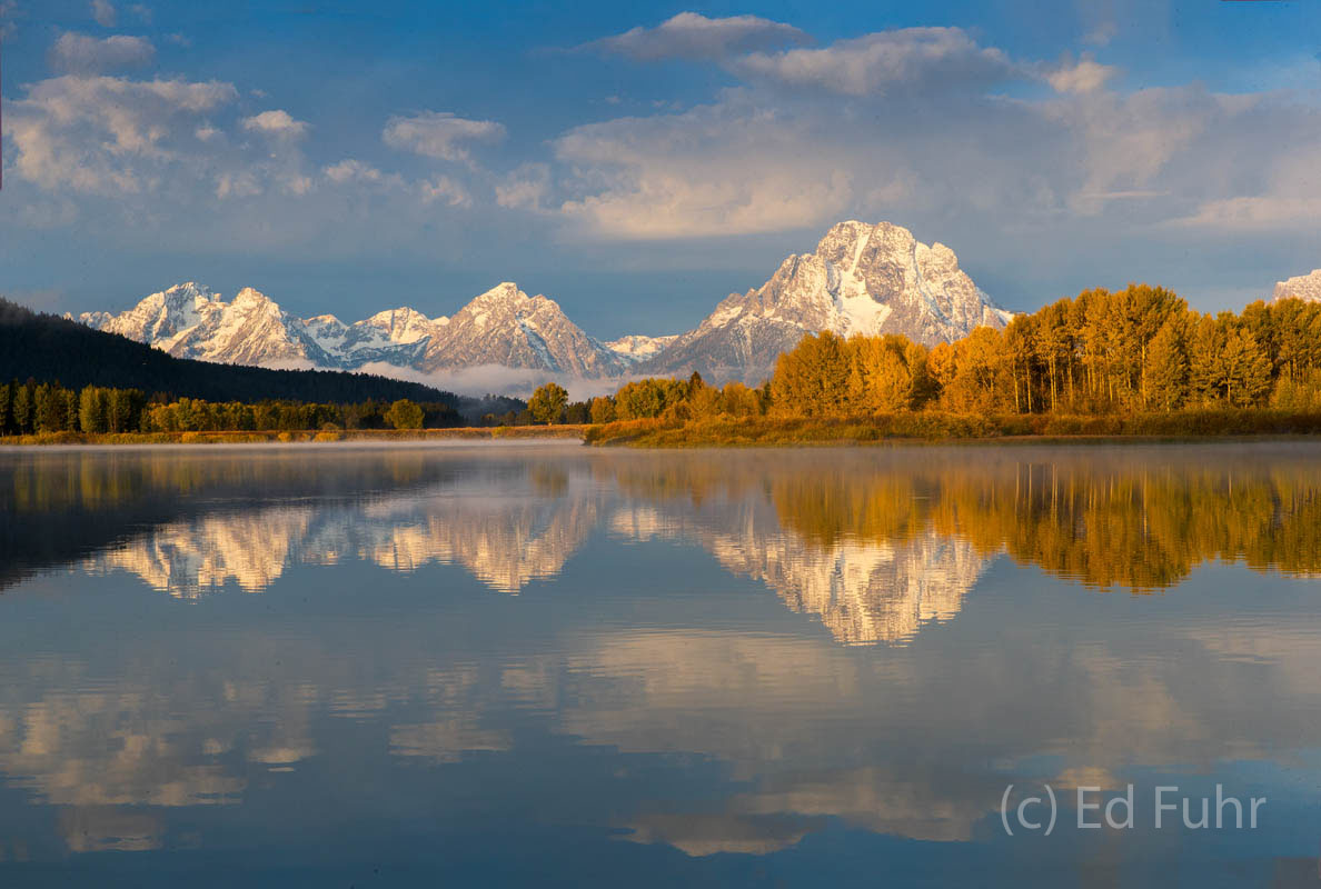 aspen, snow, autumn, oxbow bend, mount moran, sunrise, fall, 2017, Tetons, Grand Teton