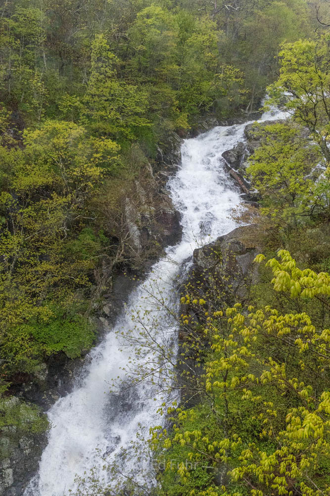 Whiteoak Canyon Waterfall #1 The first and most dramatic of the Whiteoak Canyon Falls viewed from a rocky outcropping that is both a thrilling and dangerous...
