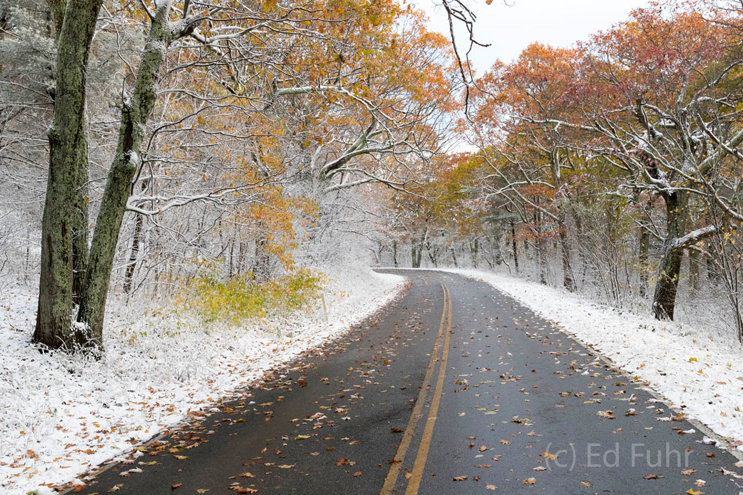 A Fall Drive in the Snow A fall drive in an early snow on Skyline Drive is one of the great experiences in Shenandoah National Park.
