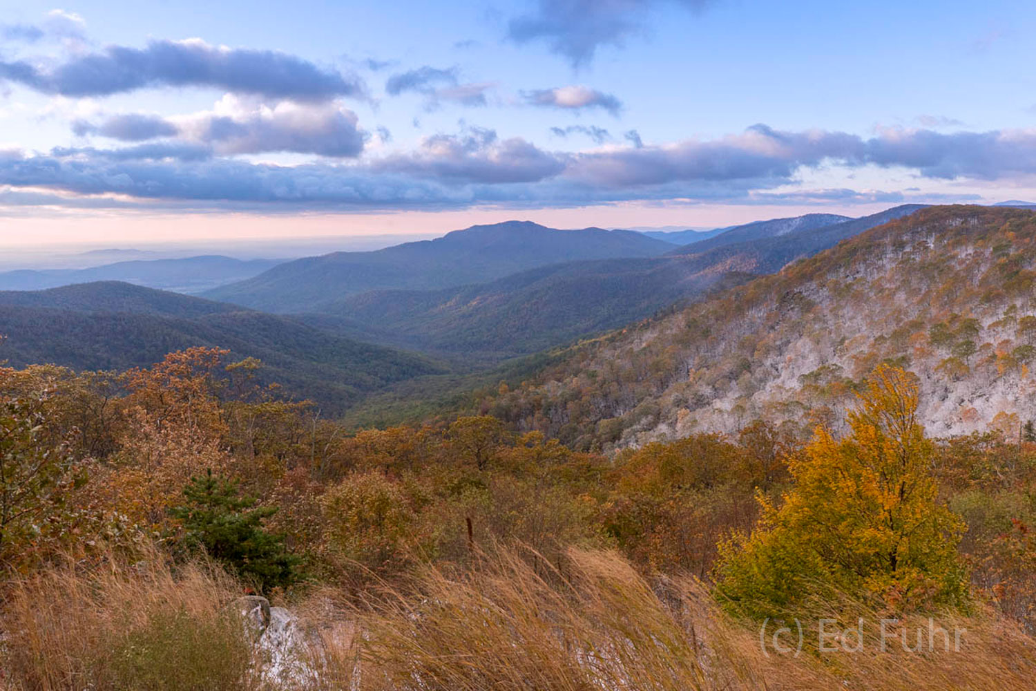 Pinnacles Overlook A strong wind blows this autumn morning across Pinnacles Overlook which affords one of the best view of Old Rag and the mountains...