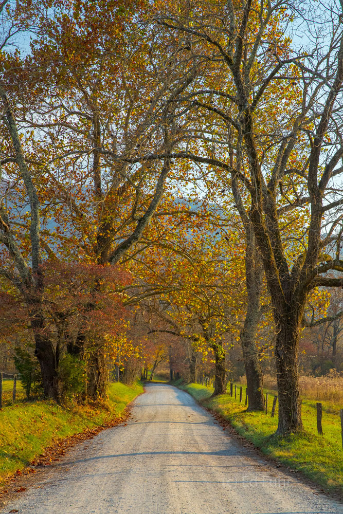 Sparks Lane II, Autumn 2016 A nice place for a walk