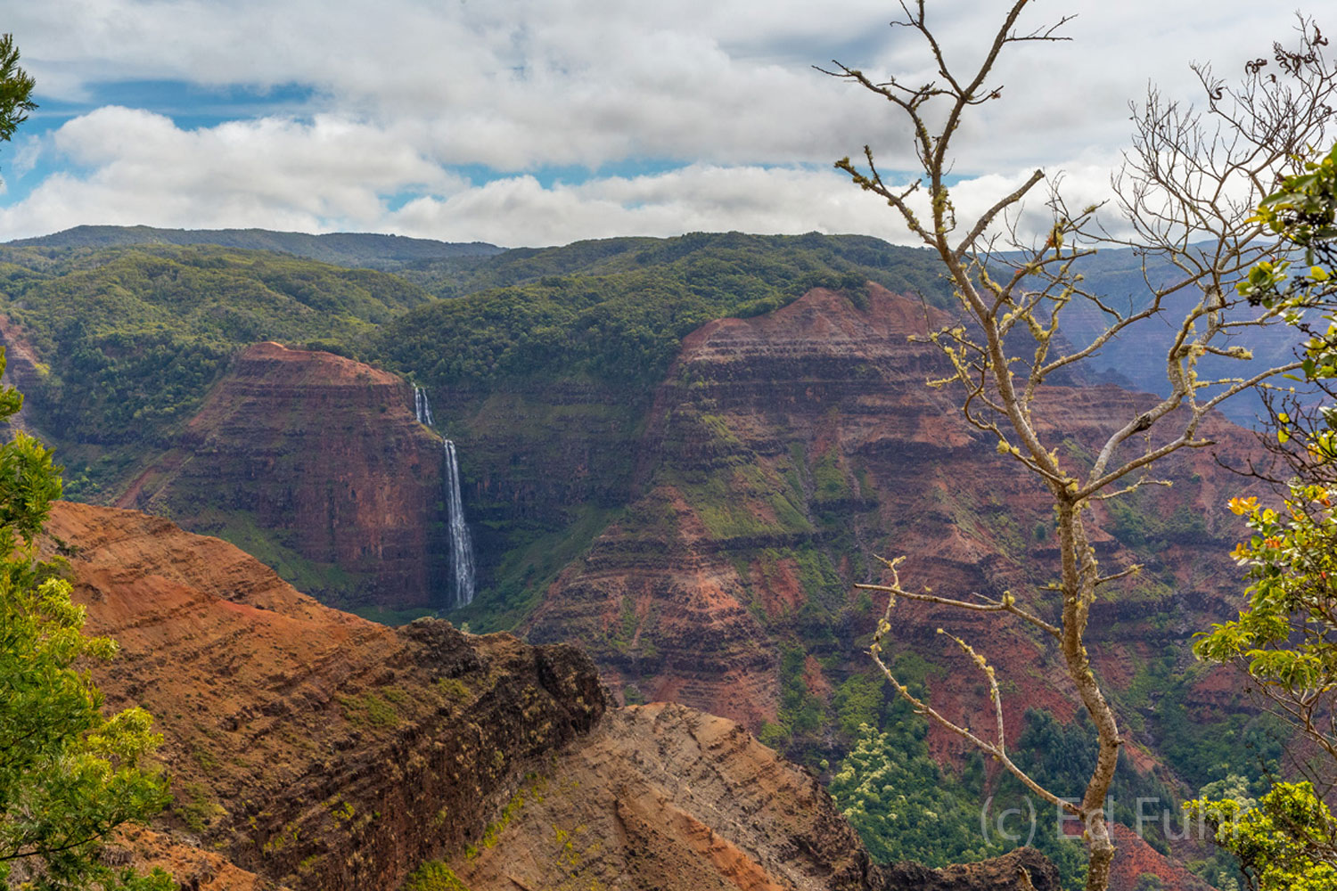 Nicknamed the Grand Canyon of the Pacific, Waimea Canyon is 14 miles long and more than a half mile deep, with numerous waterfalls...