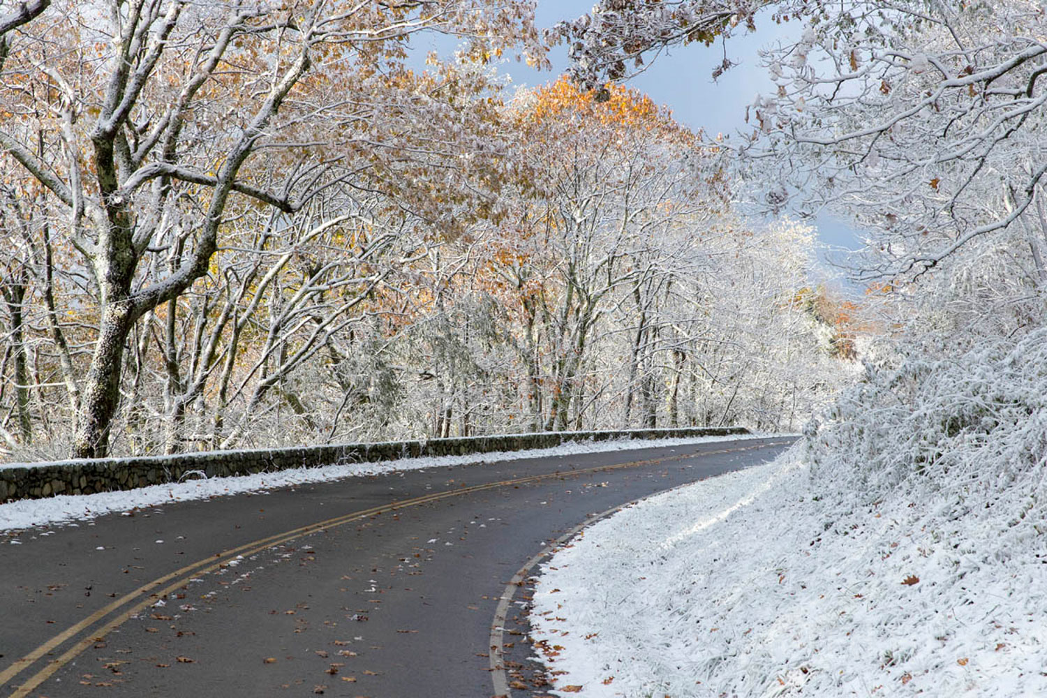 Snow Curve It may have only been a couple of inches of snow but it has transformed the autumn landscape along Skyline Drive.