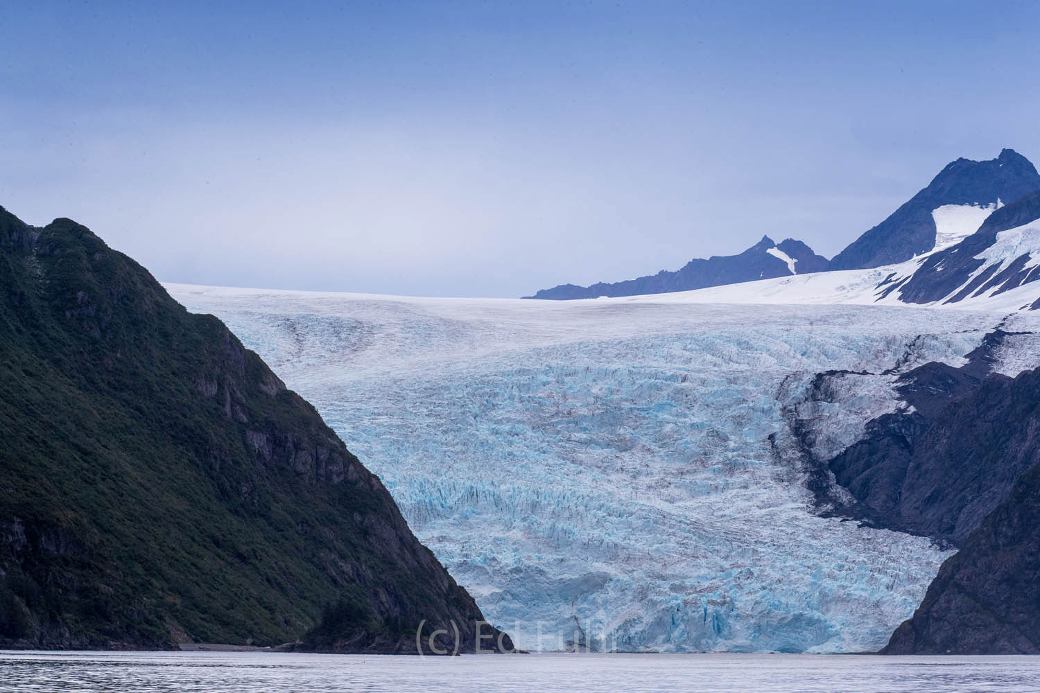 Holgate Glacier advances from the Harding Icefield to Aialik Bay.  It is one of the few glaciers actually growing in size.