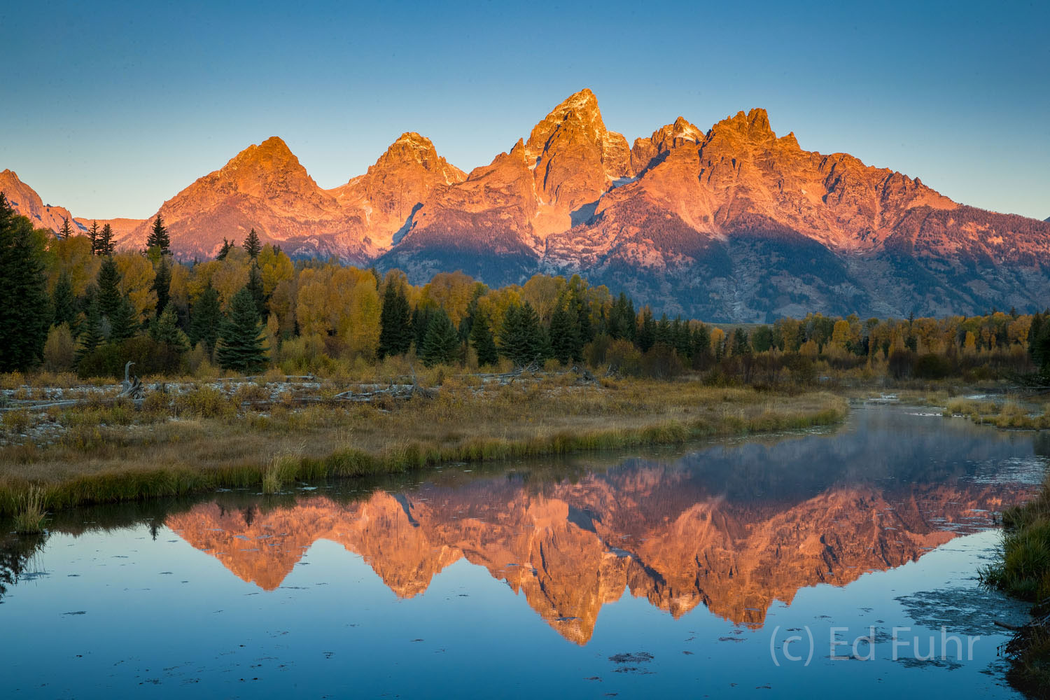 Schwabacher Light Sunrise with a Friend at Schwabacher