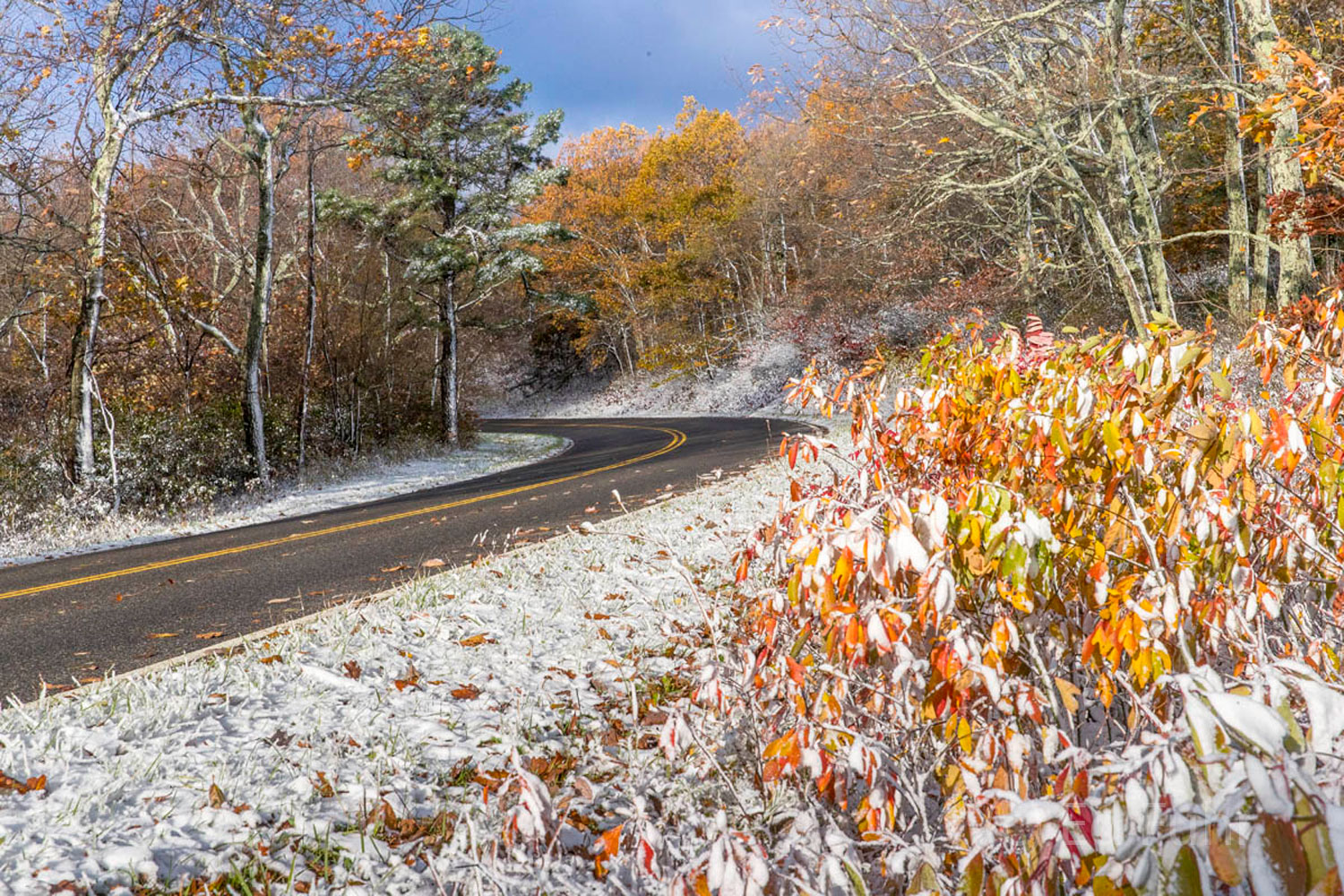 Color on Side of Drive Skyline Drive is one of the most spectacular drives in America.