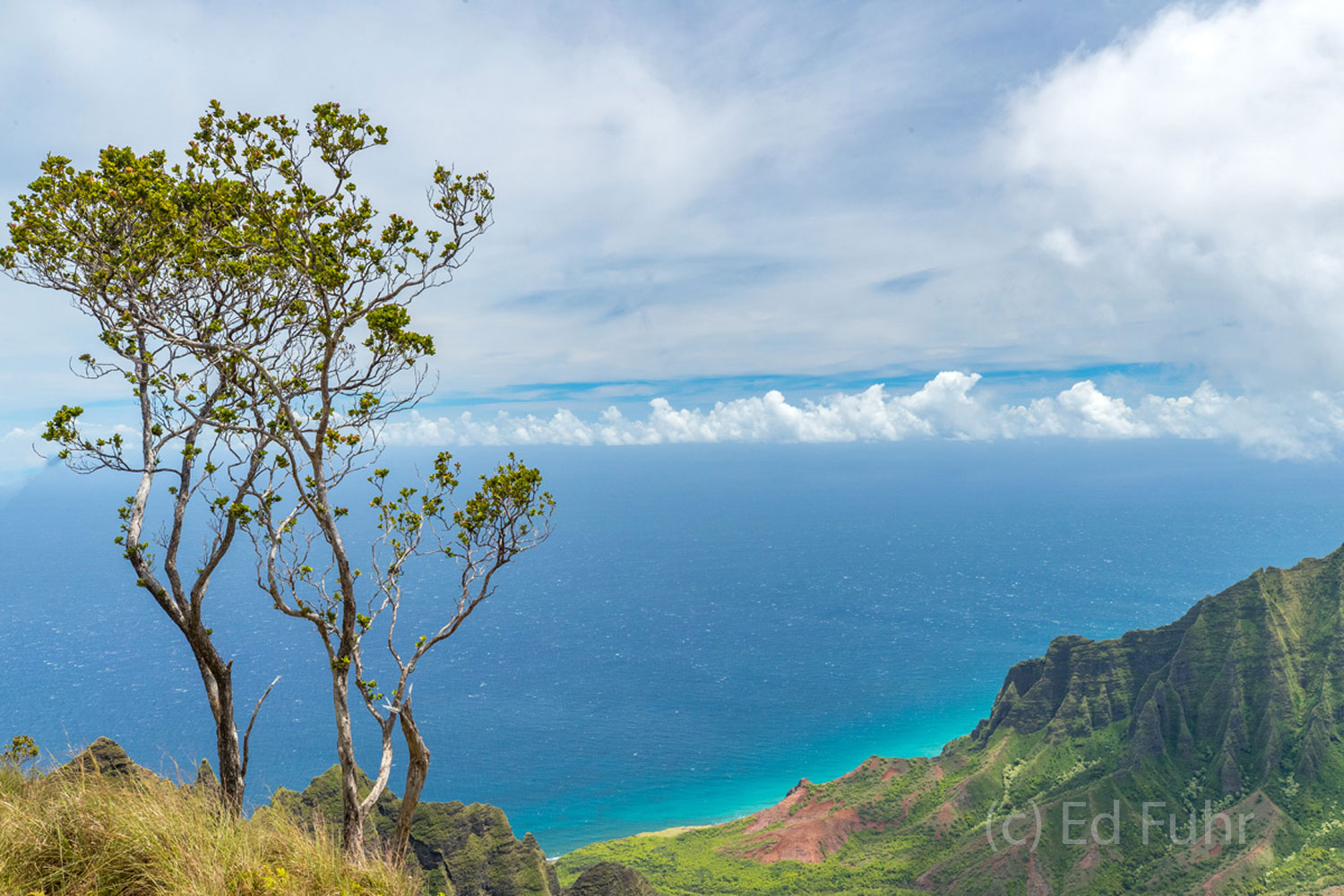 Kalalu Valley View
