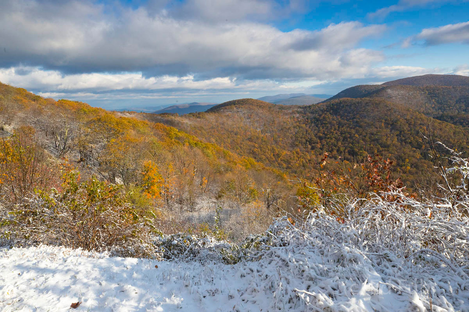 An early snow greets fall's colors along Skyline Drive.