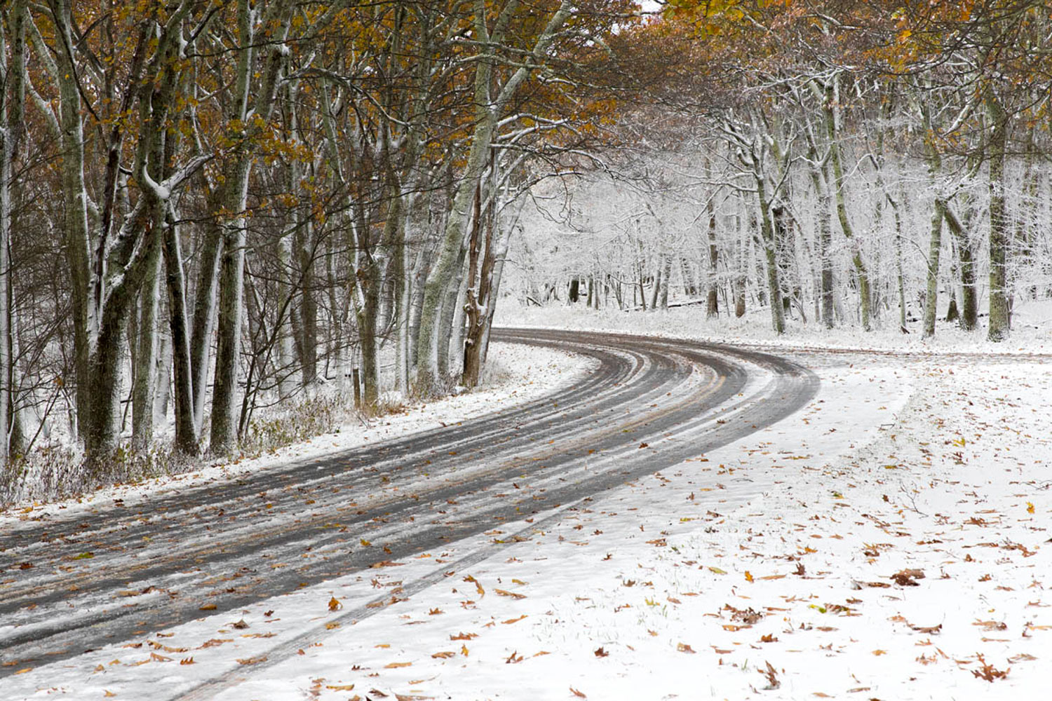A few tracks have carved a path on snow-covered Skyline Drive.