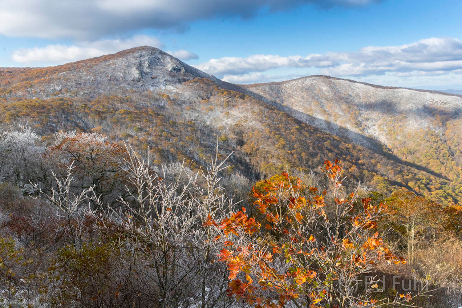Shenandoah's Hawksbill Mountain rises above its snowy neighbors this autumn morning.  The best overlook view of Shenandoah's...