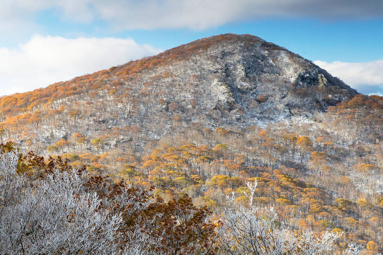 Hawsbill Mountain stands, at 4050 feet, as the tallest mountain in Shenandoah.   That elevation often means it is a few degrees...