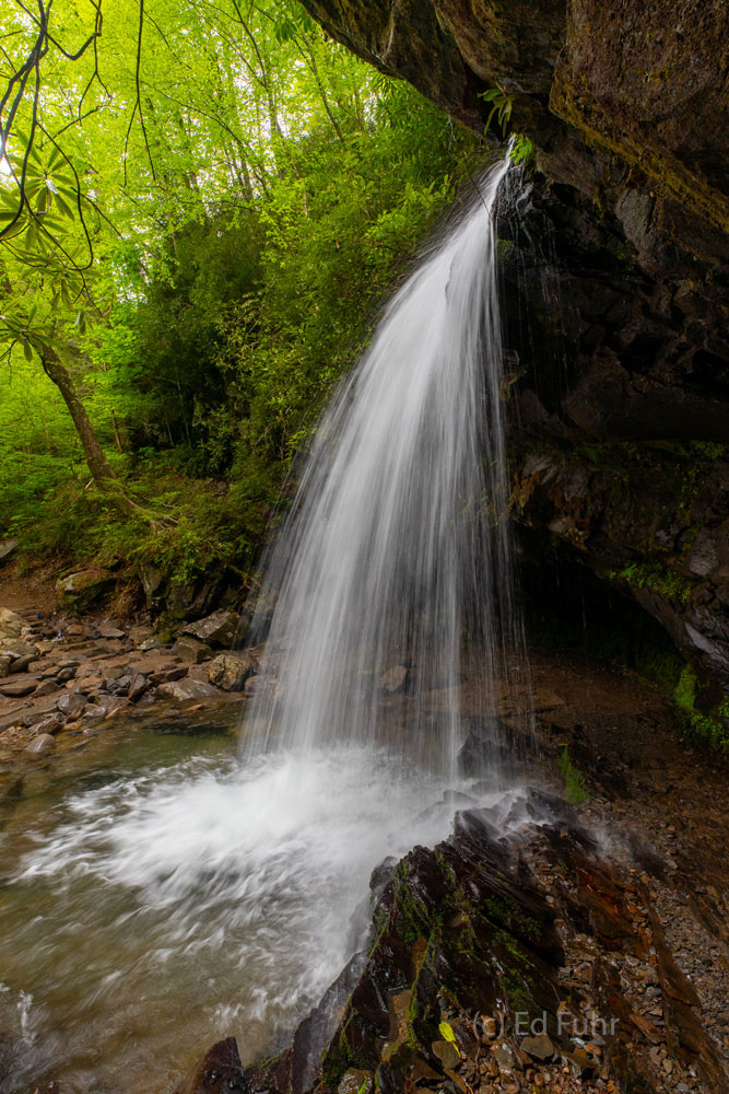 Grotto Falls Sanctuary Grotto Falls is one of the more beautiful waterfalls in the Great Smoky Mountains, particularly after heavy spring rain.