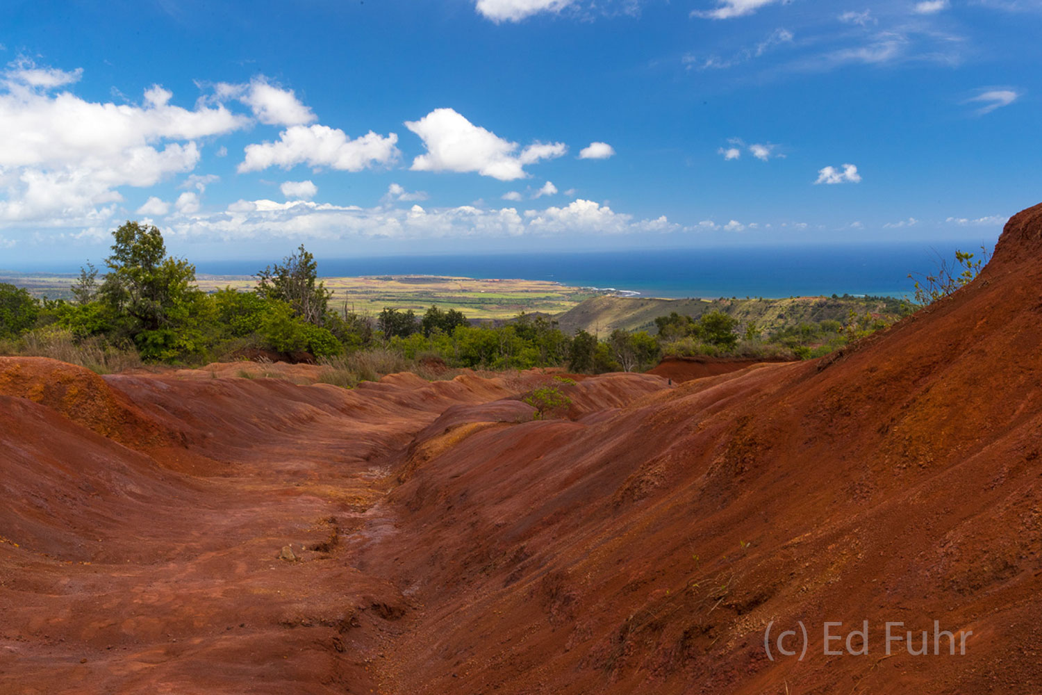 Just below Waimea Canyon lies these red dirt hills, carved over the years by water rushing to the sea.